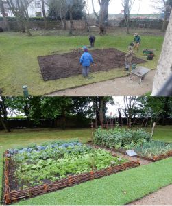 A before and after photo of a vegetable garden