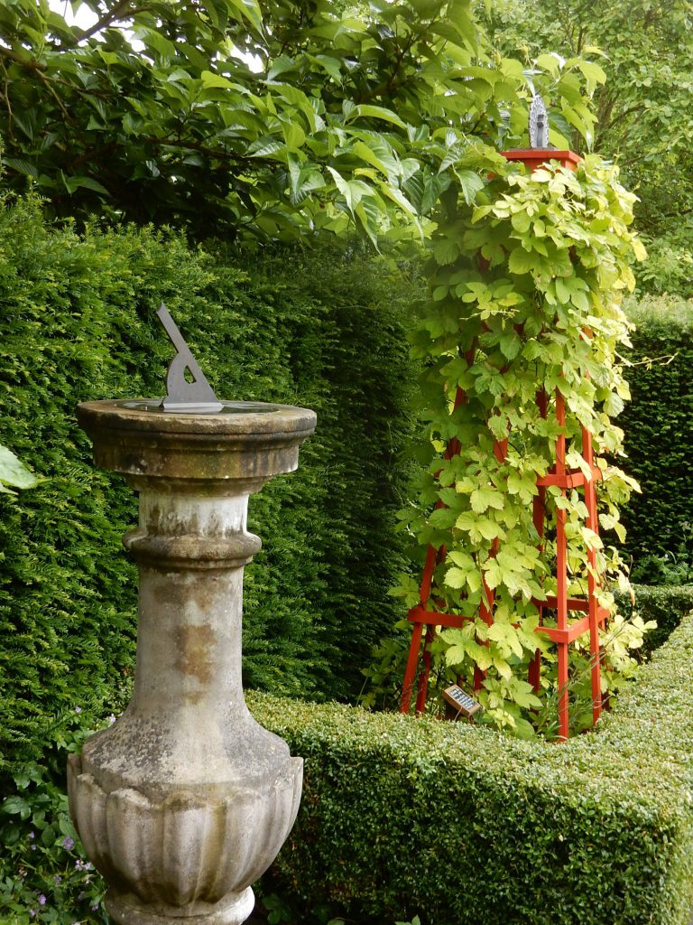 A photo of a sundial in the garden with a hop plant growing on a frame behind it